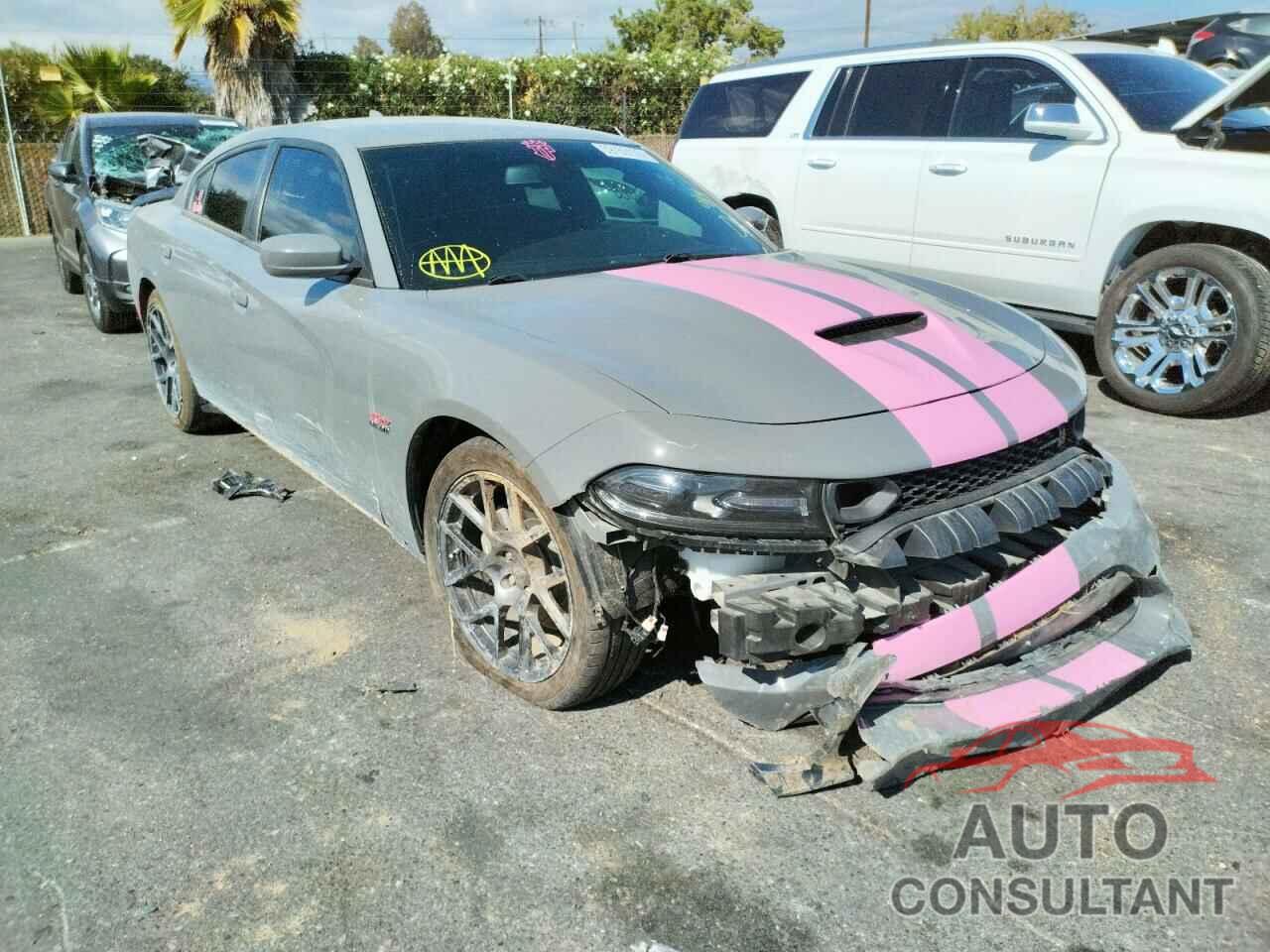 DODGE CHARGER 2019 - 2C3CDXGJ2KH564003