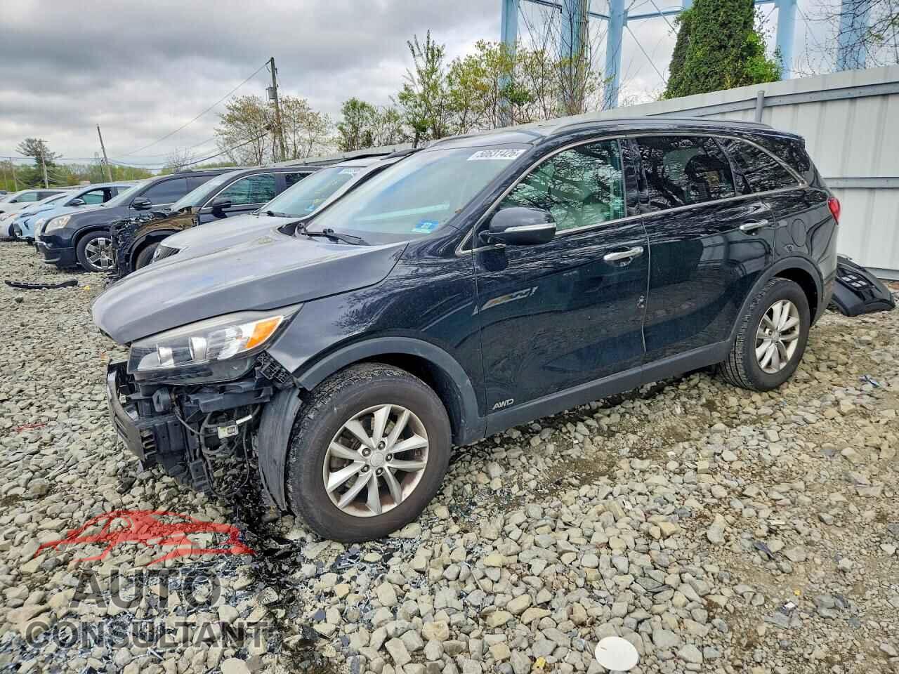 KIA SORENTO 2017 - 5XYPGDA39HG200195