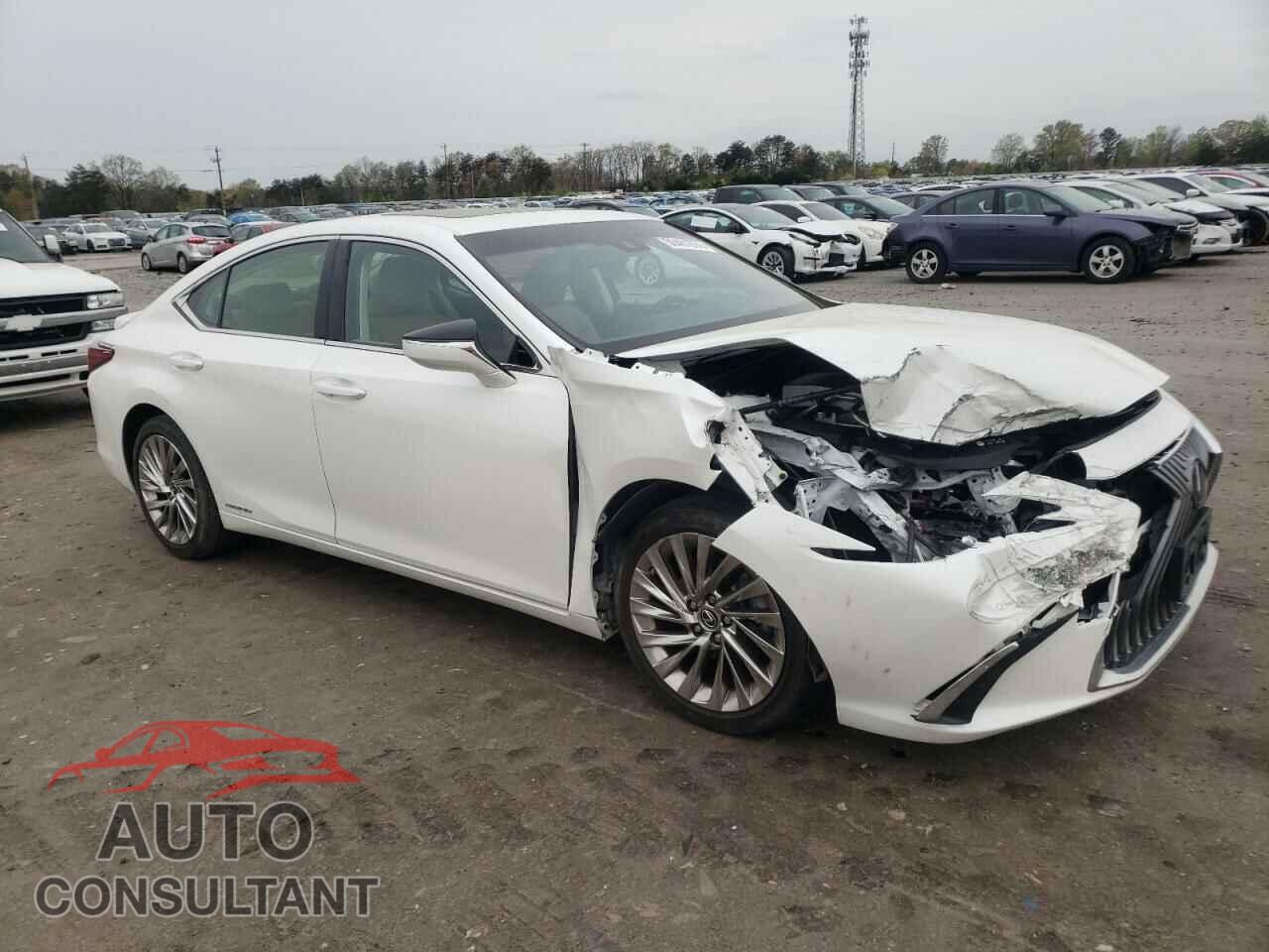 LEXUS ES300 2019 - JTHB21B14K2025634