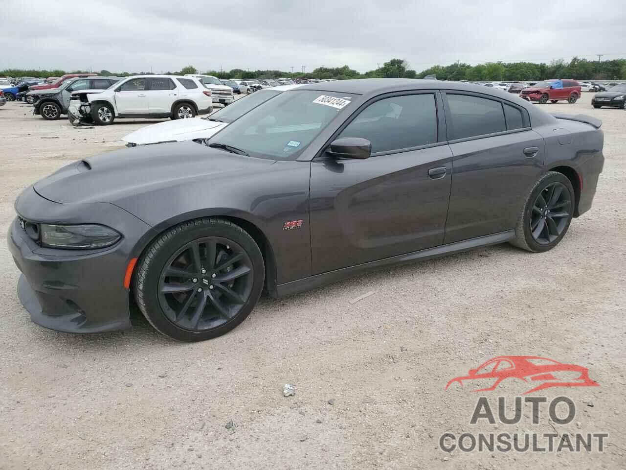 DODGE CHARGER 2019 - 2C3CDXGJ9KH742361