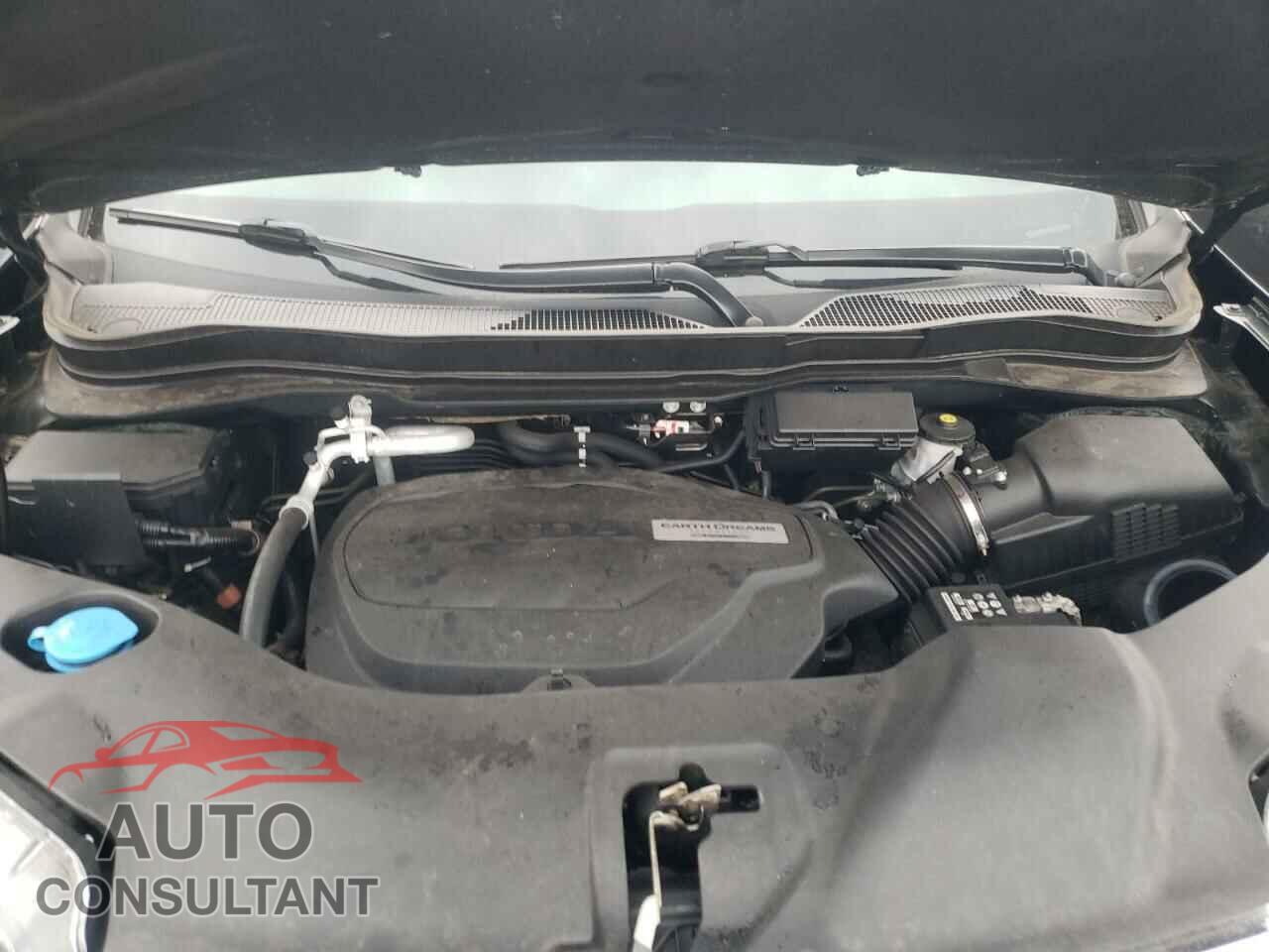 HONDA PILOT 2020 - 5FNYF6H5XLB058563