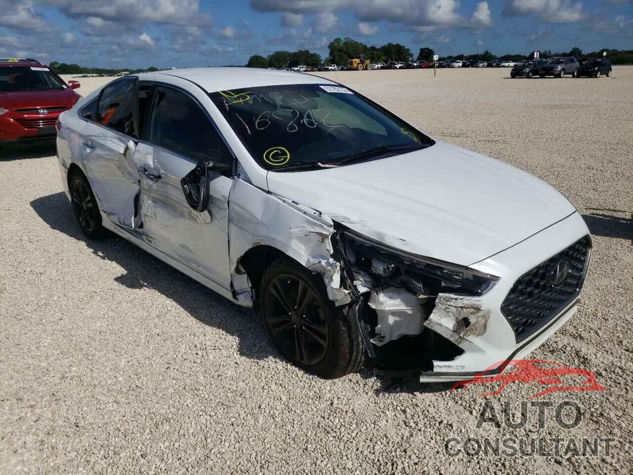 HYUNDAI SONATA 2019 - 5NPE34AF6KH736468