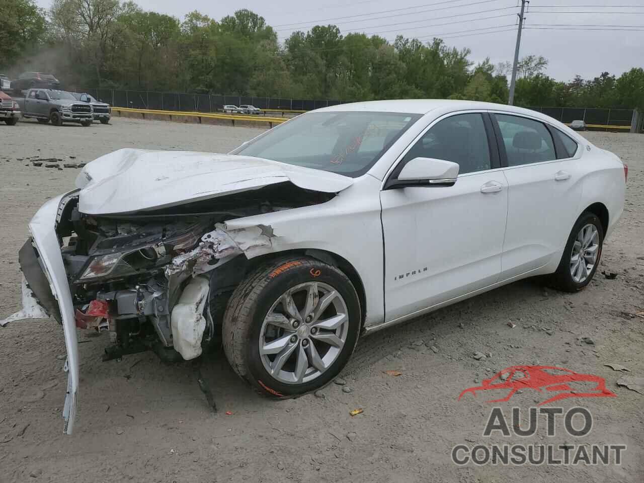 CHEVROLET IMPALA 2019 - 1G11Z5S34KU106213