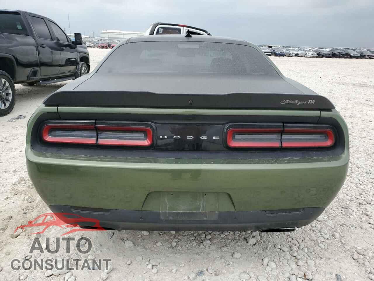 DODGE CHALLENGER 2019 - 2C3CDZBT5KH602540