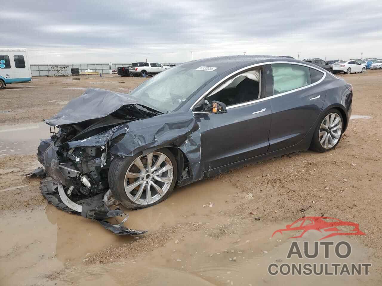 TESLA MODEL 3 2019 - 5YJ3E1EA1KF436317