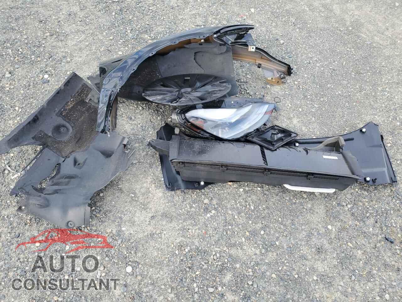 TESLA MODEL Y 2024 - 7SAYGDED7RF201946