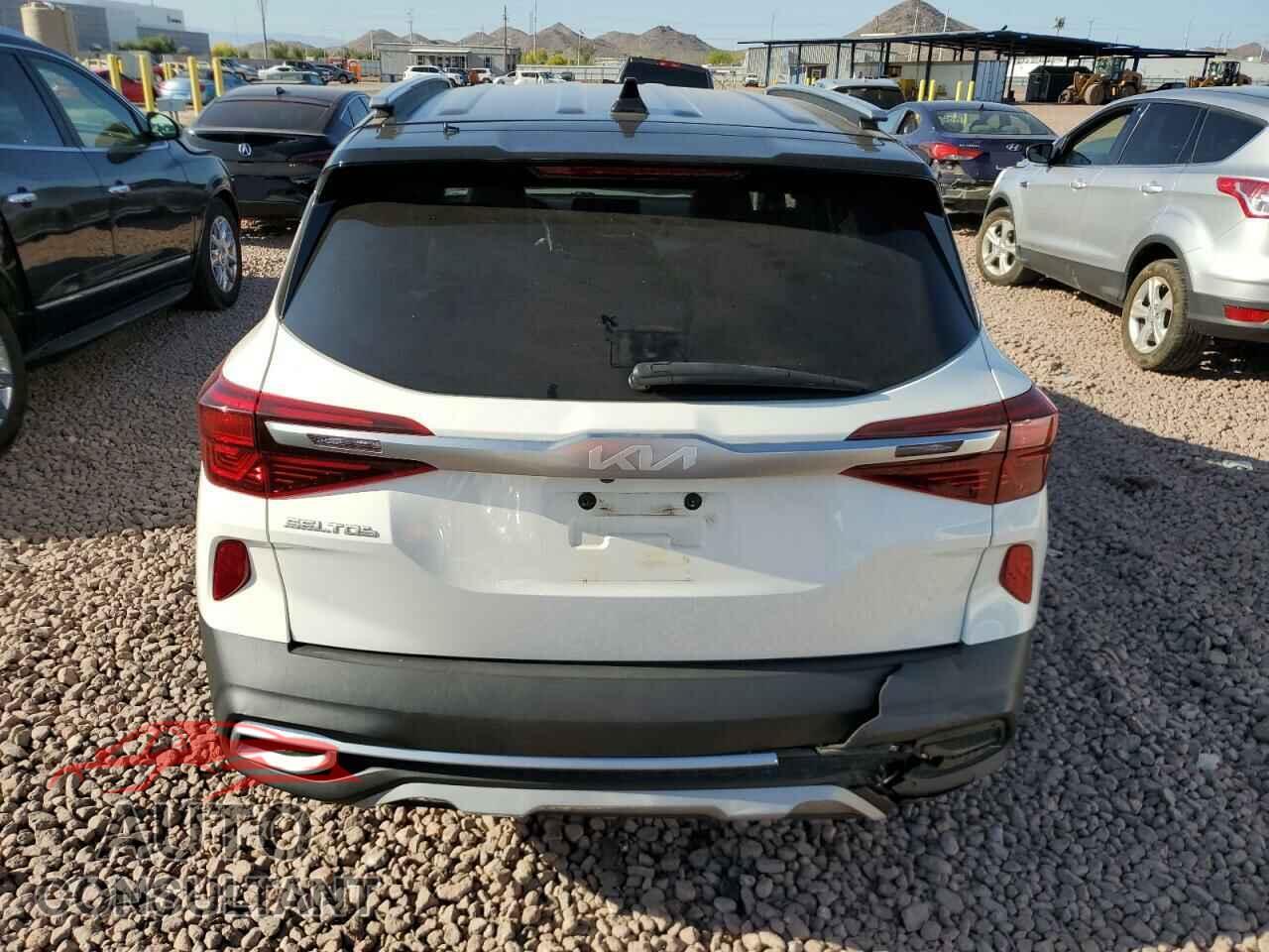 KIA SELTOS 2022 - KNDEU2AA4N7305576