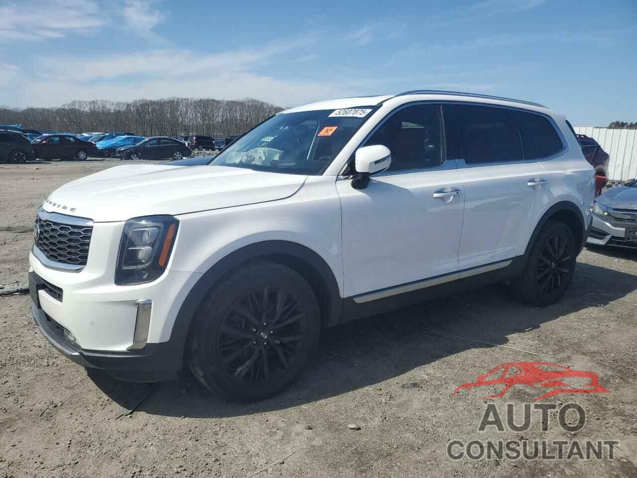 KIA TELLURIDE 2021 - 5XYP5DHC7MG142335