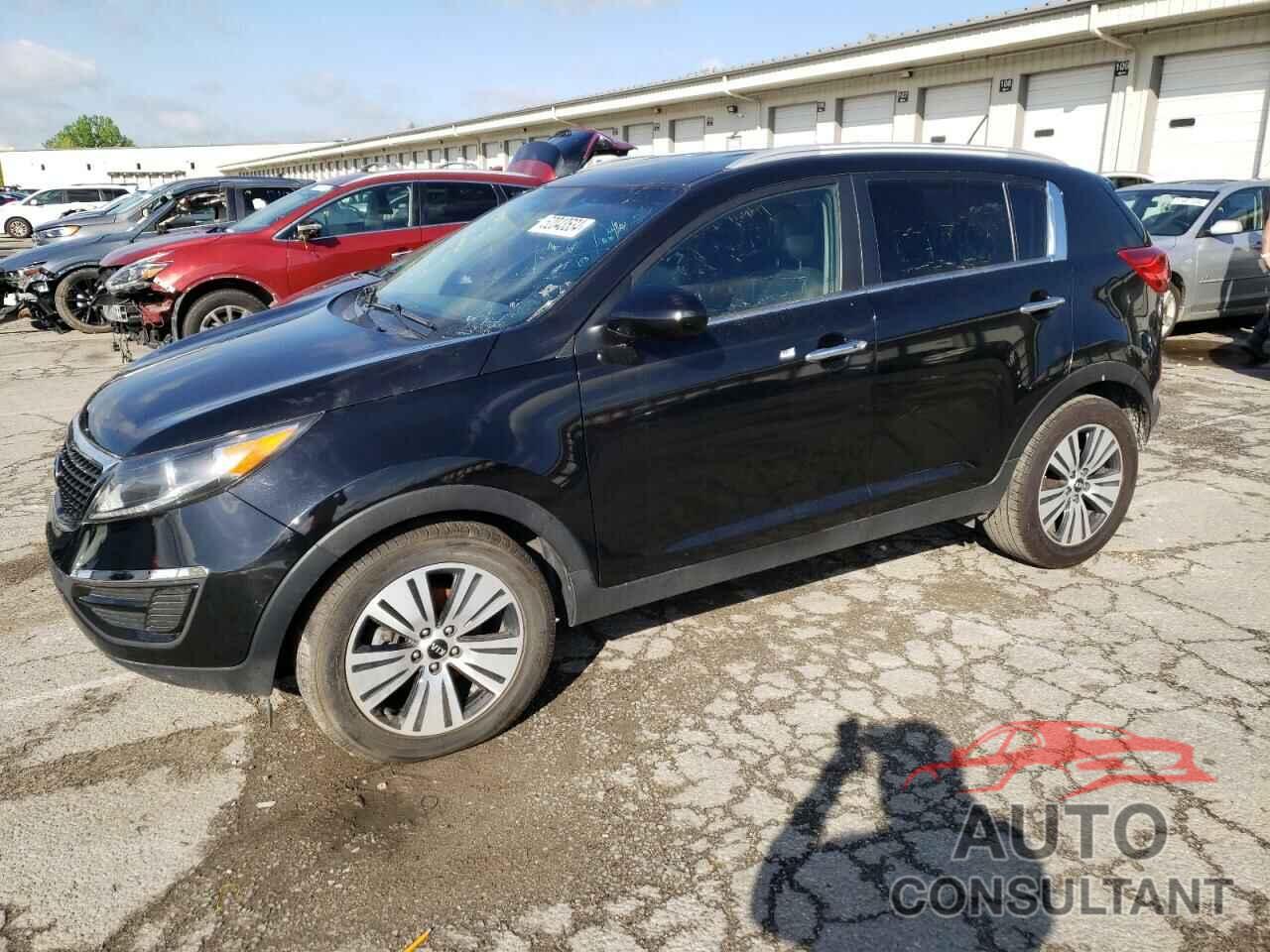 KIA SPORTAGE 2016 - KNDPC3AC2G7849046