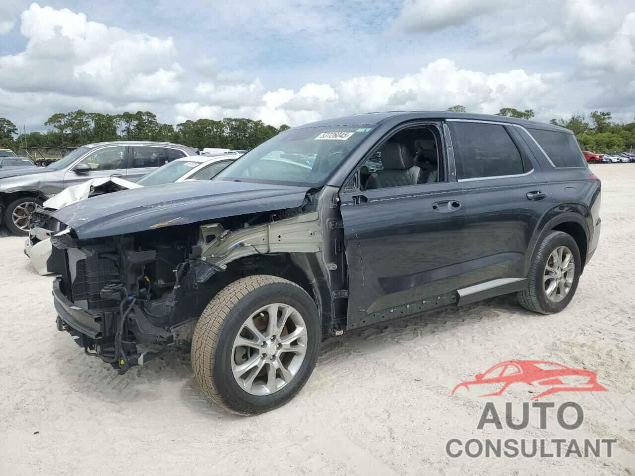 HYUNDAI PALISADE 2020 - KM8R14HE9LU058533