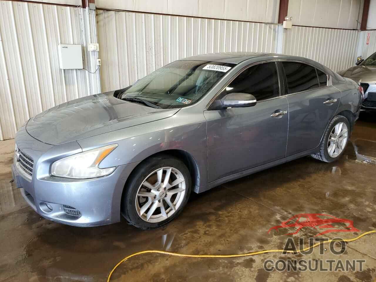 NISSAN MAXIMA 2010 - 1N4AA5AP9AC806919