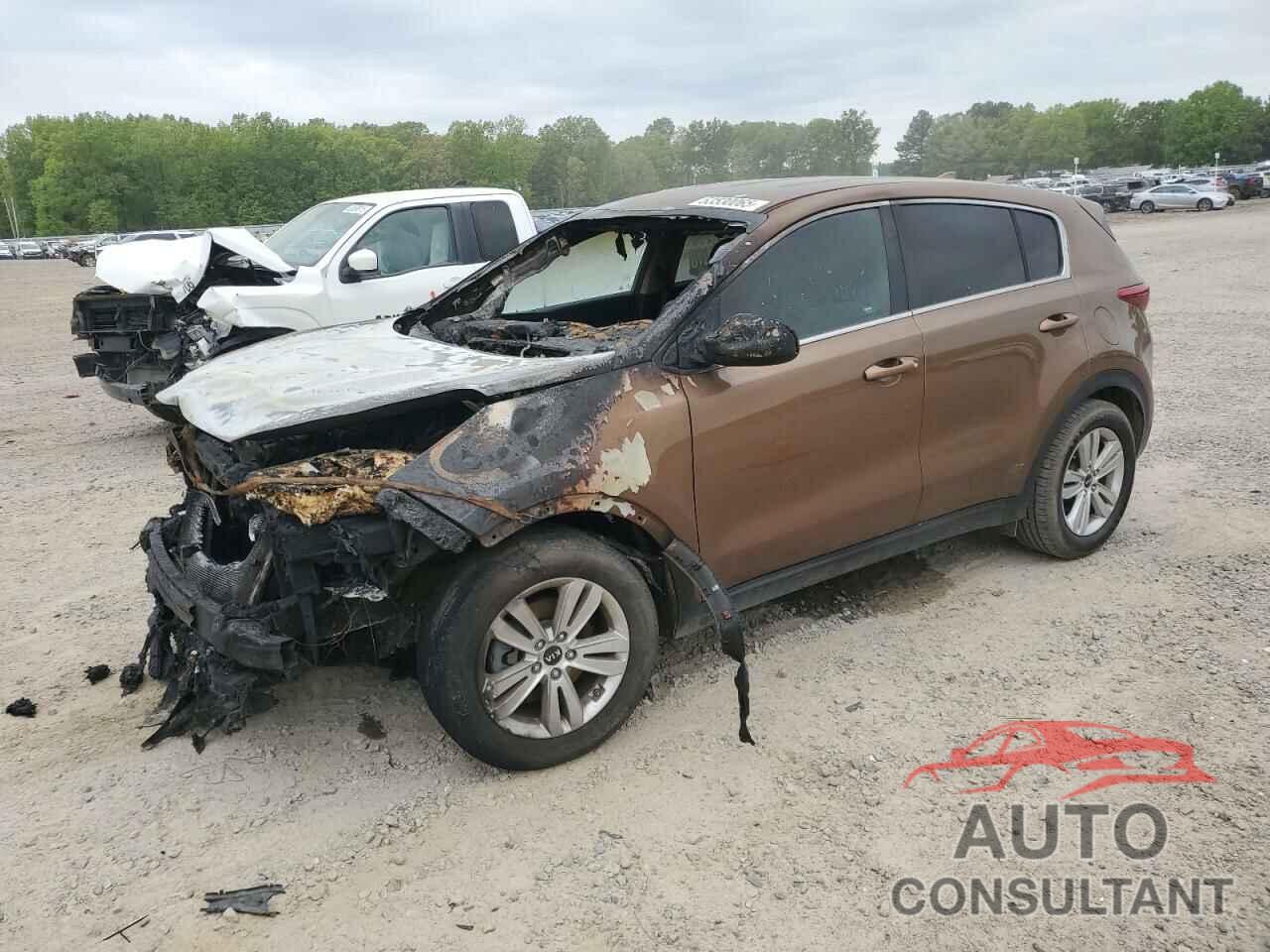 KIA SPORTAGE 2017 - KNDPM3AC5H7143400