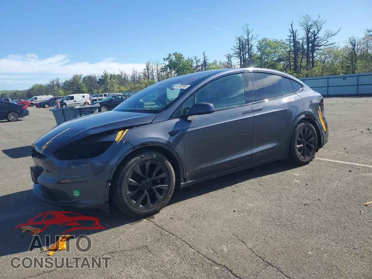 TESLA MODEL X 2022 - 7SAXCAE59NF346530