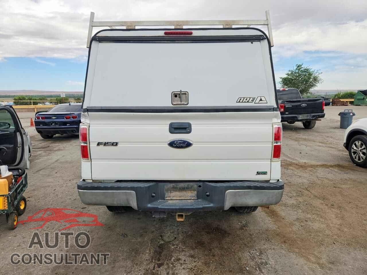 FORD F150 2010 - 1FTNF1EV9AKE55868
