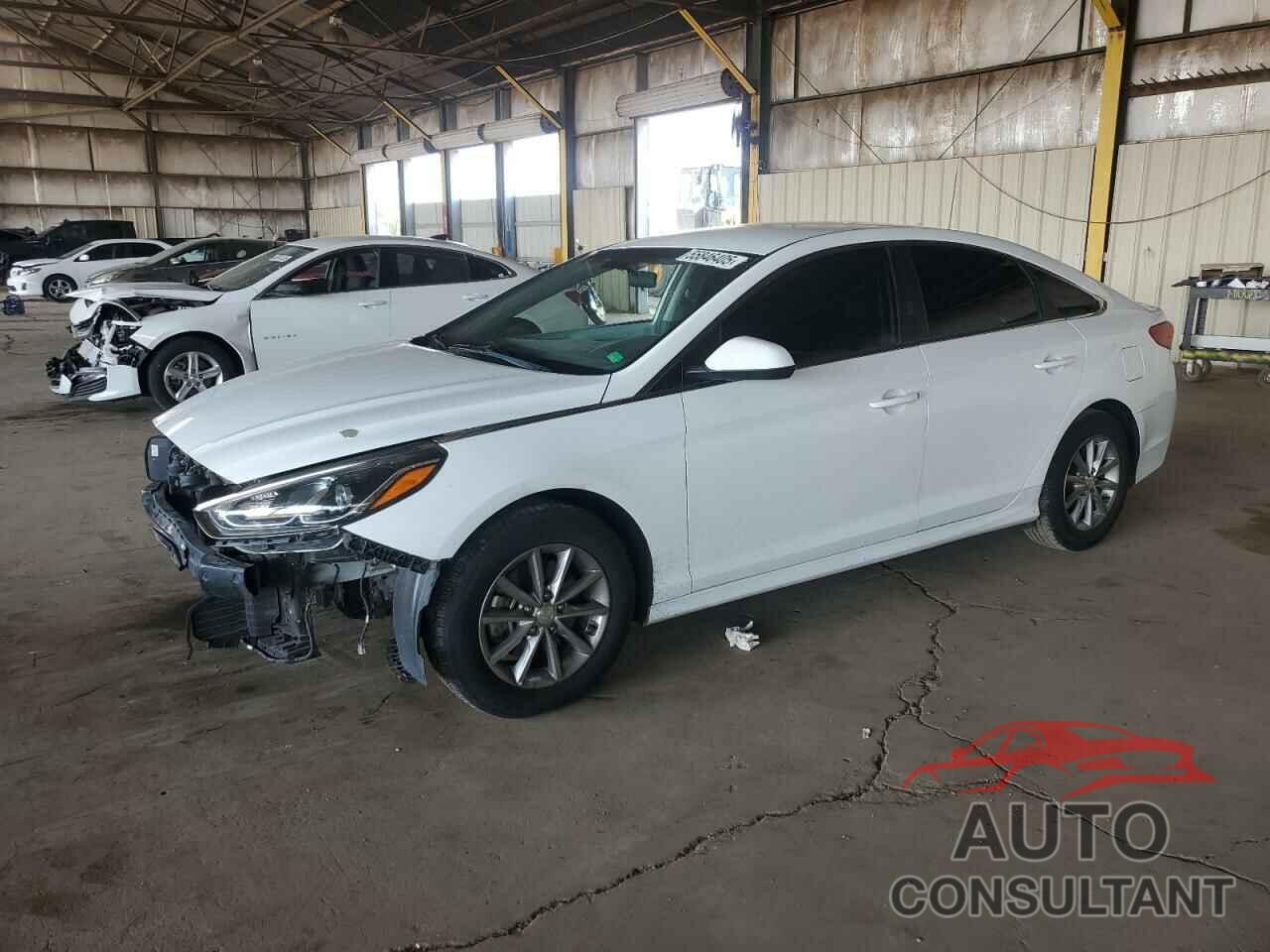 HYUNDAI SONATA 2019 - 5NPE24AFXKH789693