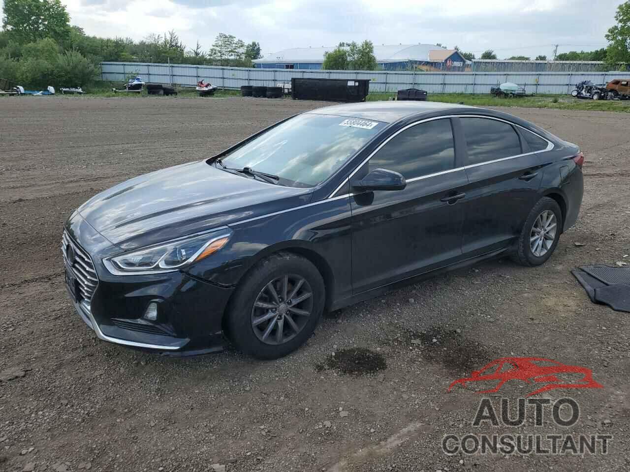 HYUNDAI SONATA 2019 - 5NPE24AF2KH757398