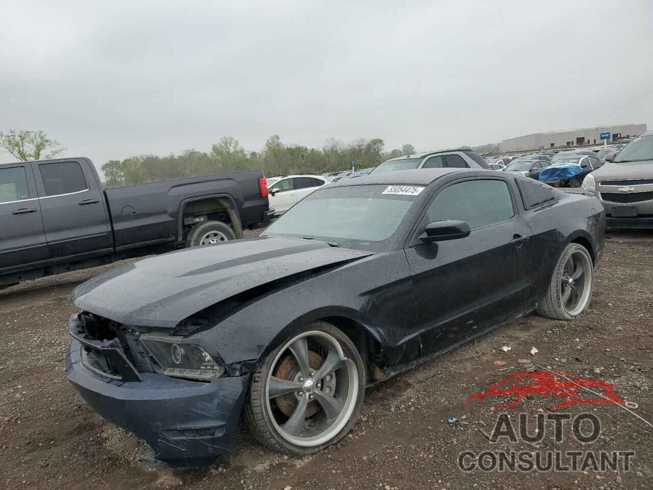 FORD MUSTANG 2011 - 1ZVBP8CF3B5135950