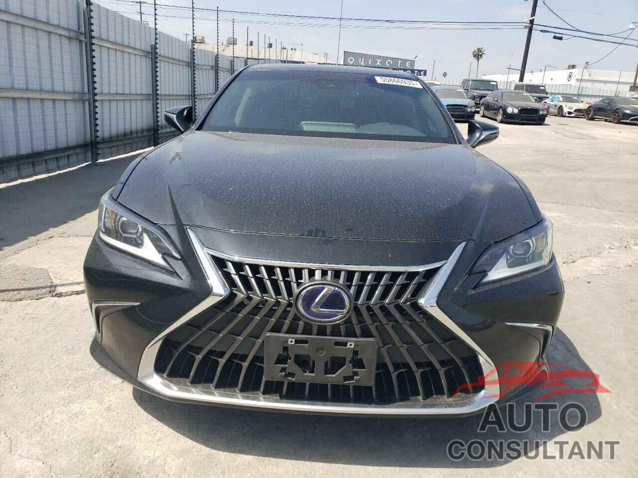 LEXUS ES300 2022 - 58ACA1C15NU020821