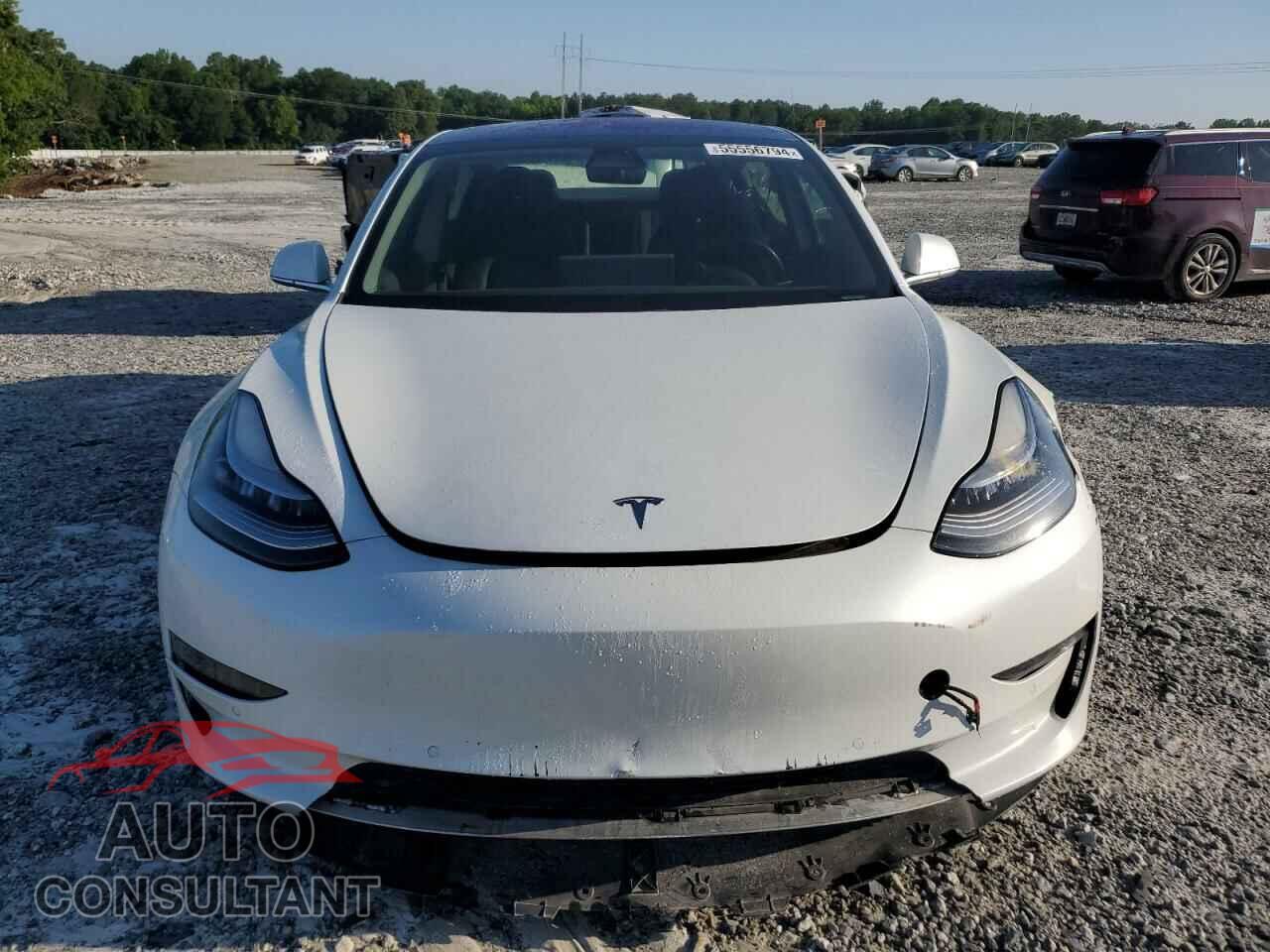 TESLA MODEL 3 2019 - 5YJ3E1EA6KF299780