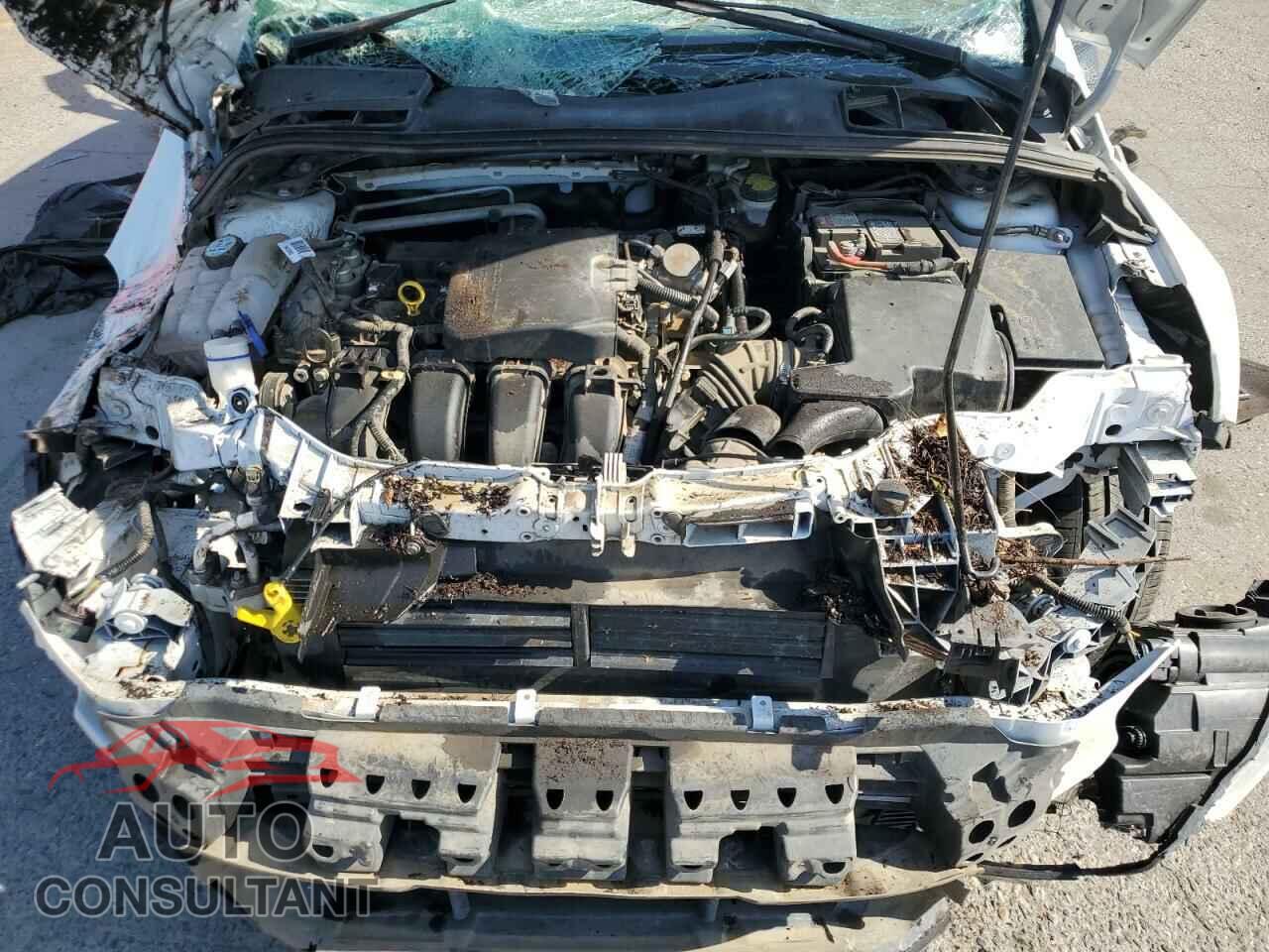 FORD FOCUS 2016 - 1FADP3K29GL345264