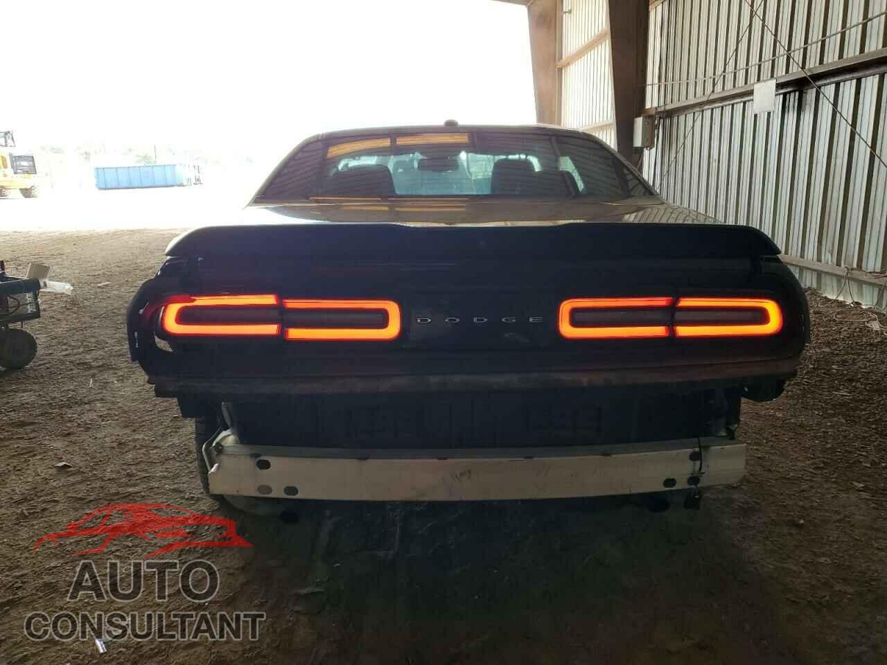 DODGE CHALLENGER 2019 - 2C3CDZAG2KH723479