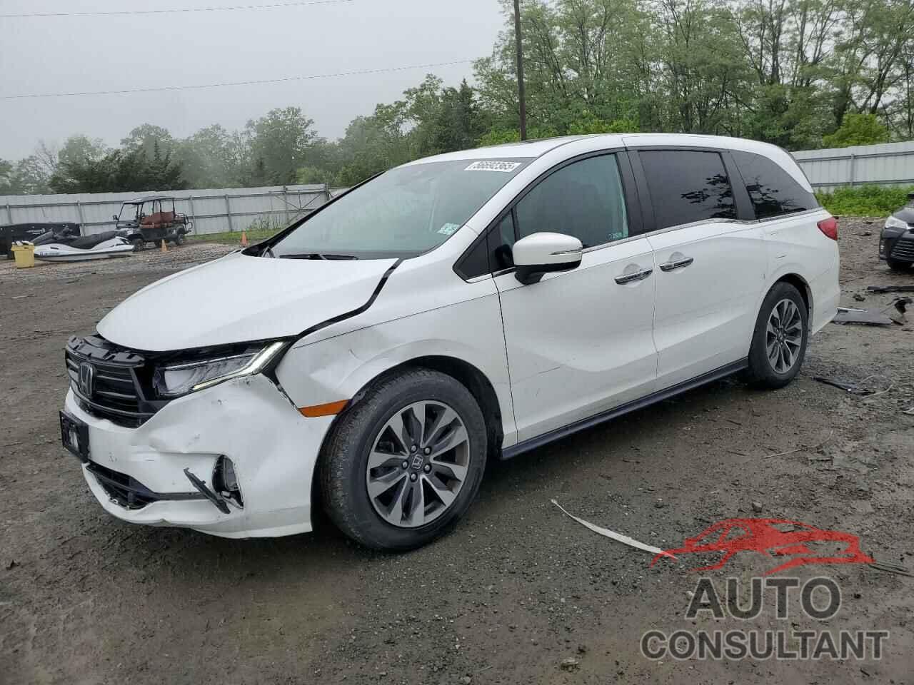 HONDA All Models 2021 - 5FNRL6H70MB007251