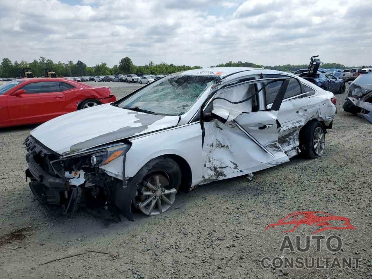 HYUNDAI SONATA 2019 - 5NPE24AF9KH760038