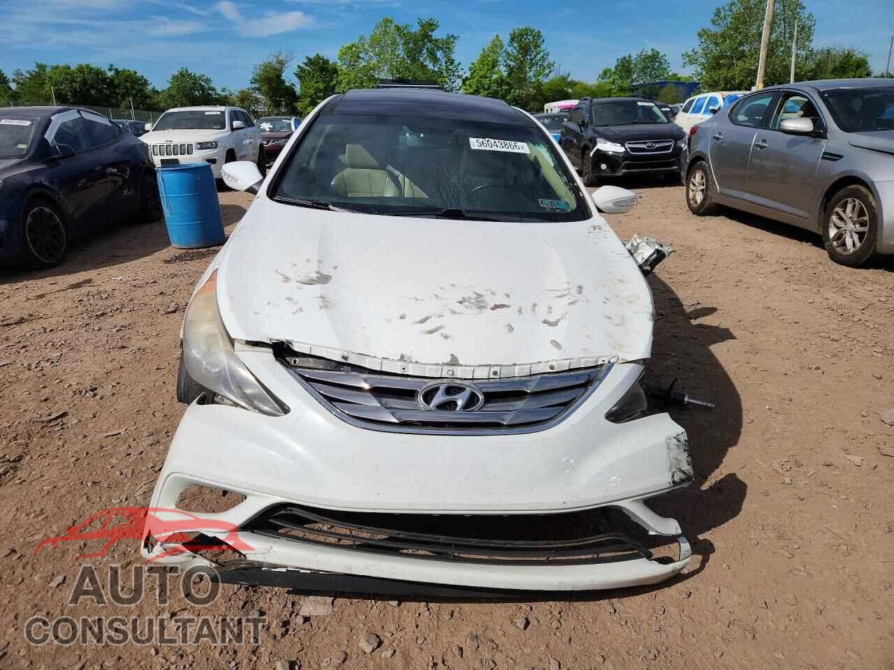 HYUNDAI SONATA 2013 - 5NPEC4AC5DH672044