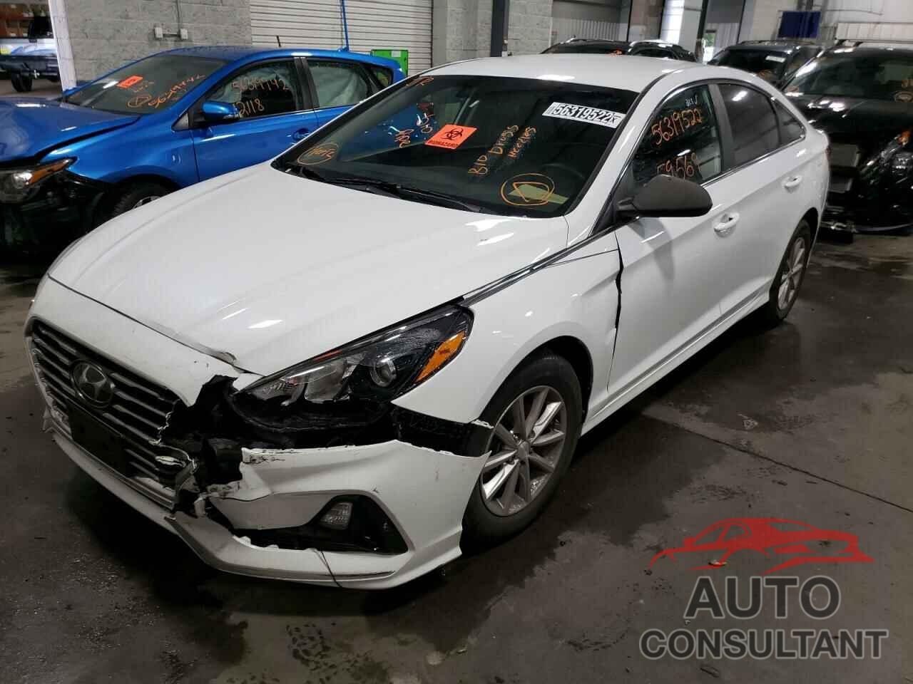 HYUNDAI SONATA 2019 - 5NPE24AF8KH775890