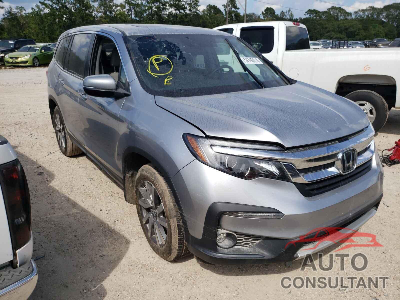 HONDA PILOT 2019 - 5FNYF5H52KB046271
