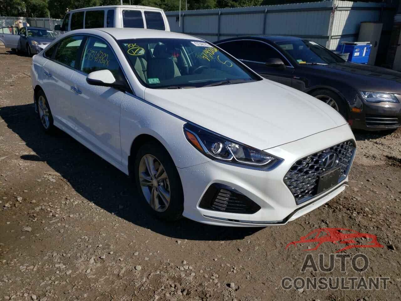 HYUNDAI SONATA 2019 - 5NPE34AF8KH807086