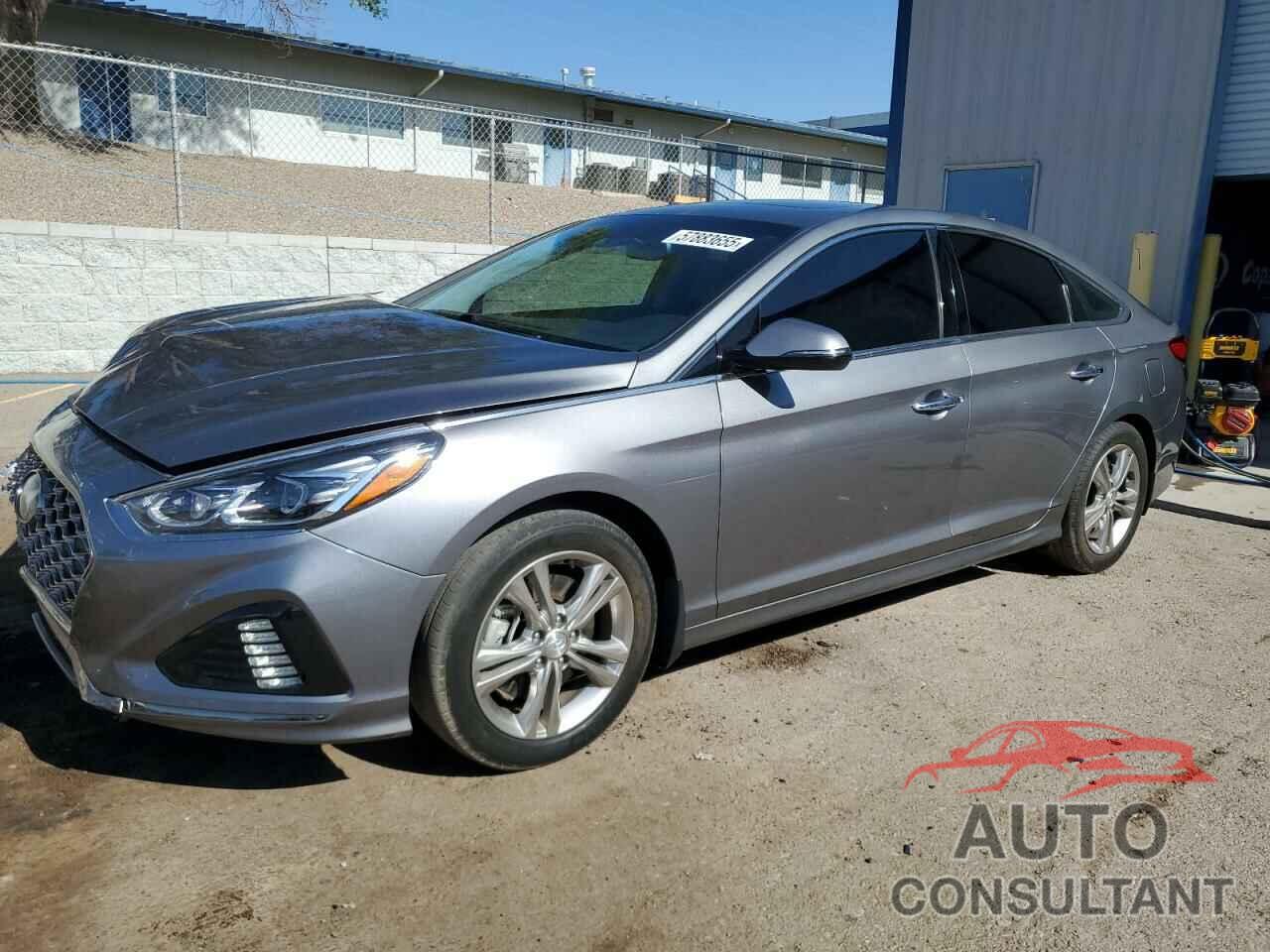 HYUNDAI SONATA 2019 - 5NPE34AF1KH806393