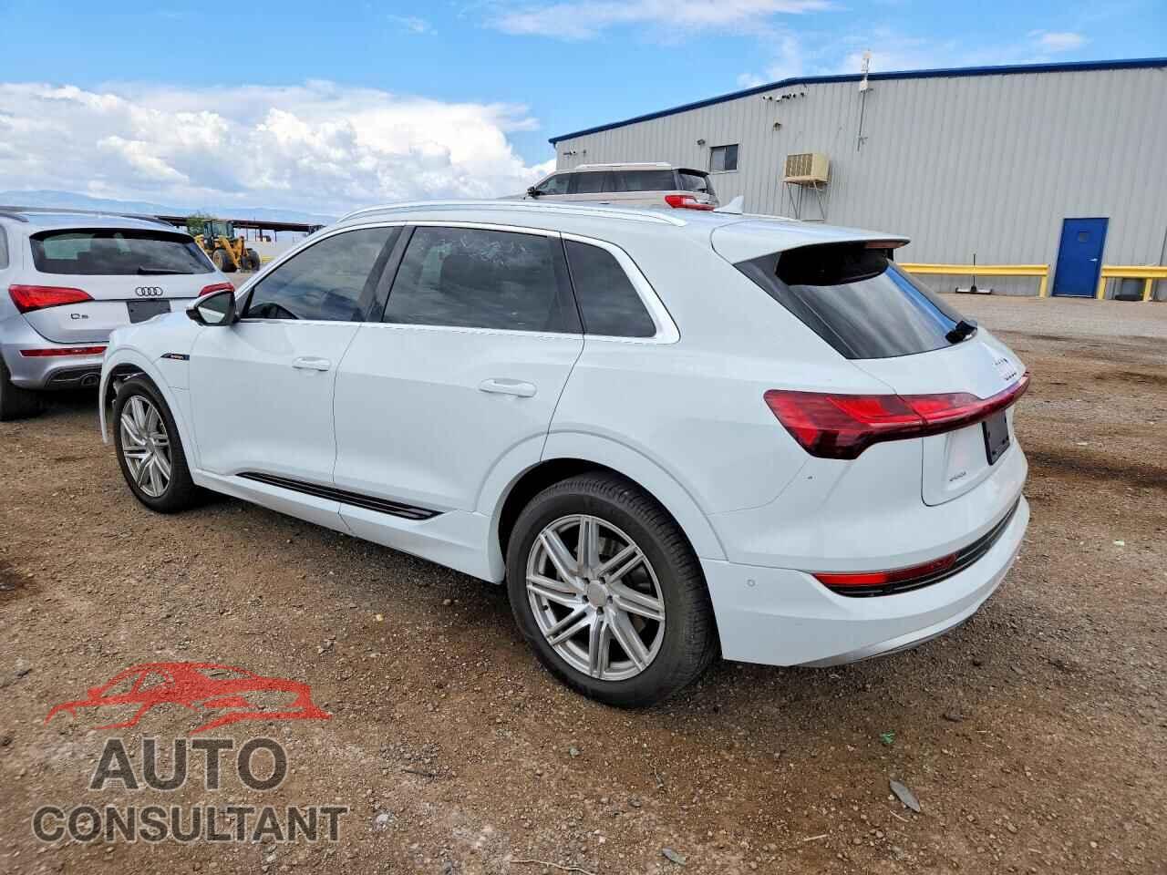 AUDI E-TRON 2019 - WA1LAAGE1KB024567