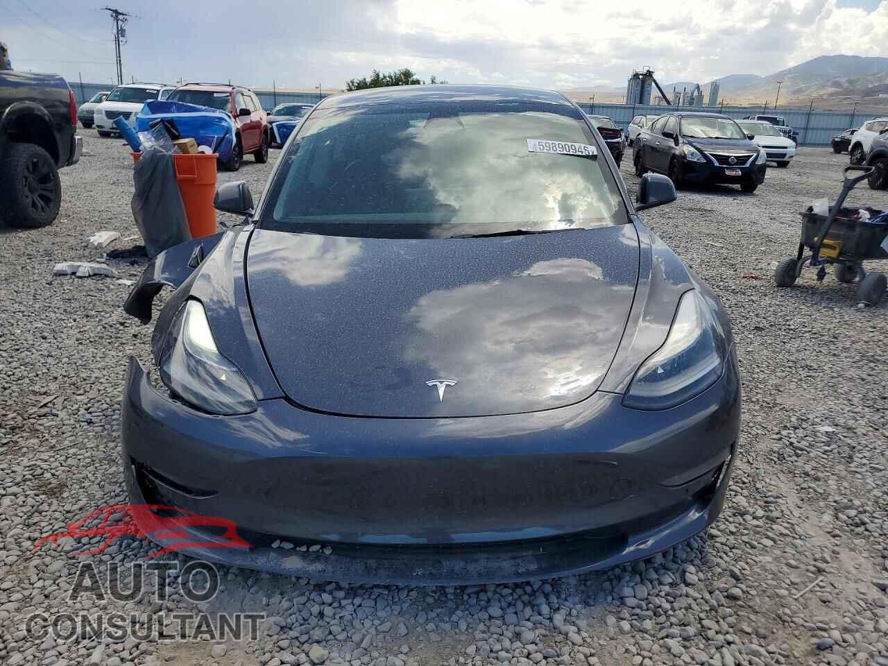 TESLA MODEL 3 2022 - 5YJ3E1EA0NF194415