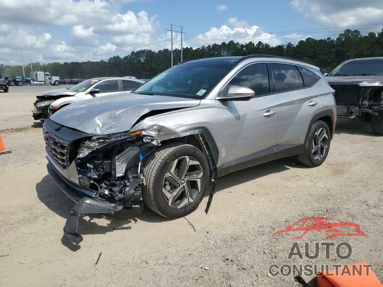 HYUNDAI TUCSON 2024 - KM8JECD10RU180544