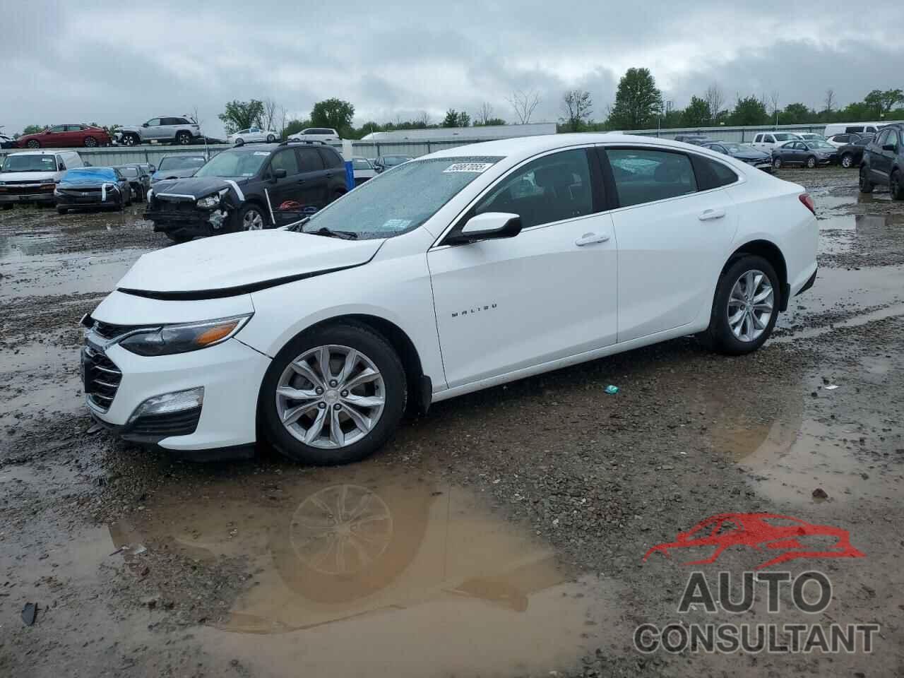 CHEVROLET MALIBU 2019 - 1G1ZD5ST8KF187206