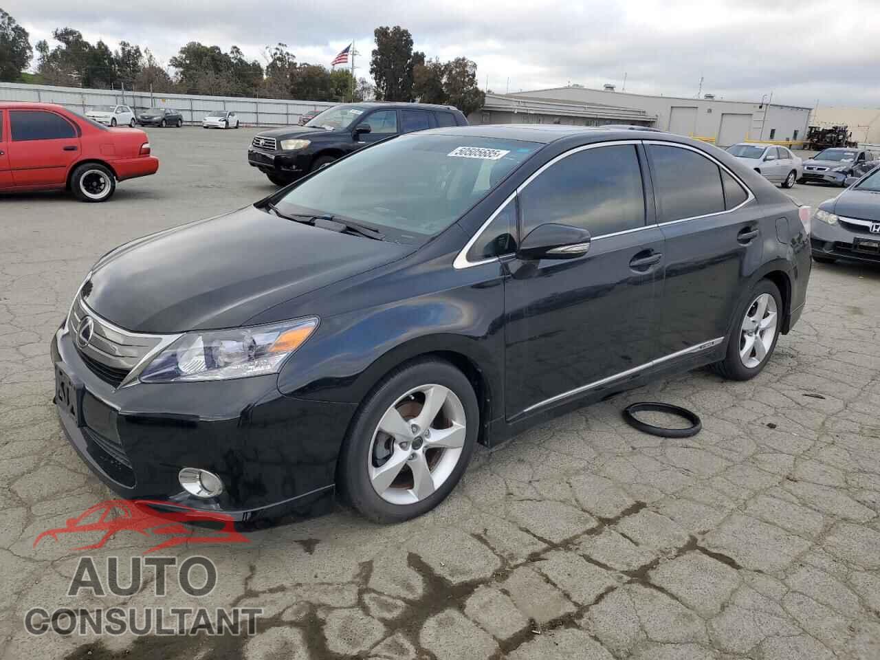 LEXUS HS 2010 - JTHBB1BA5A2029657