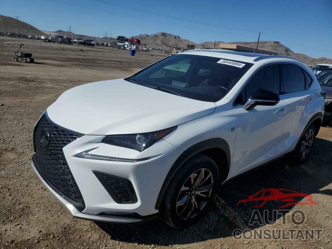 LEXUS NX 2019 - JTJYARBZ4K2144185