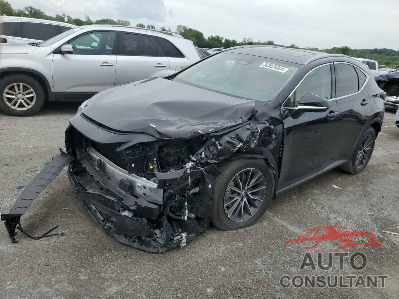 LEXUS NX 350H BA 2024 - 2T2GKCEZ4RC026343