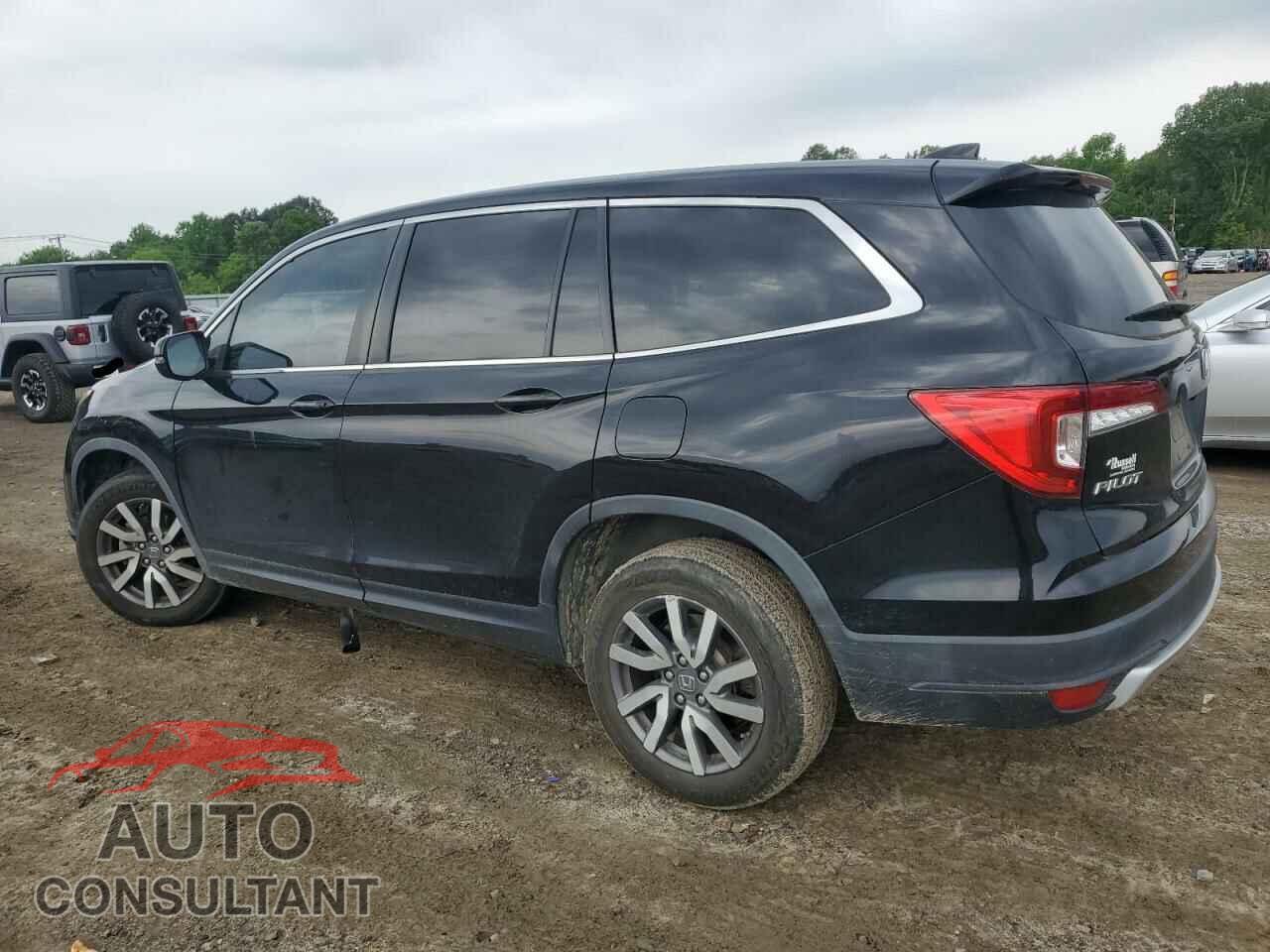 HONDA PILOT 2019 - 5FNYF5H5XKB020081