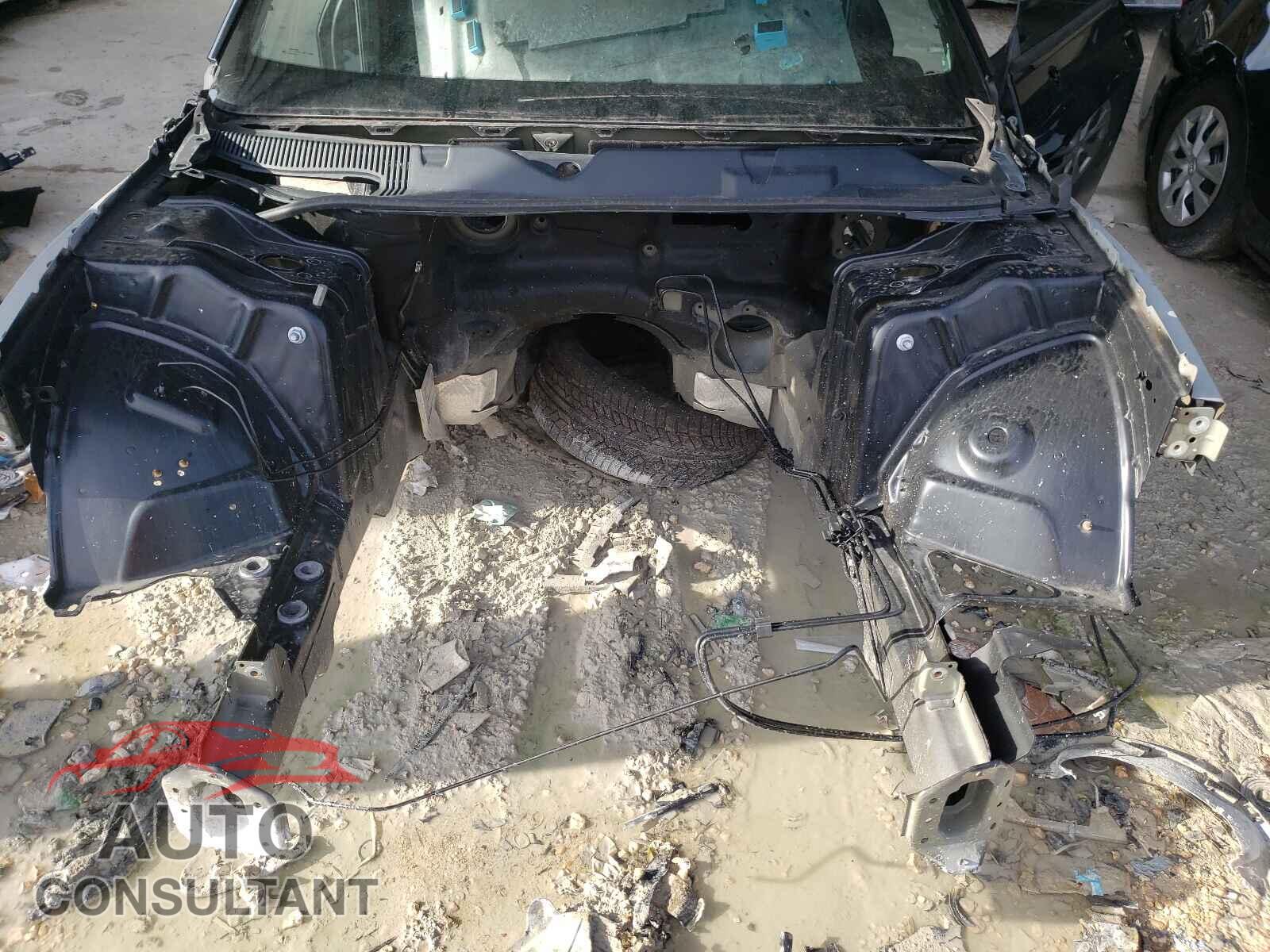 DODGE CHALLENGER 2019 - 2C3CDZBT1KH556947