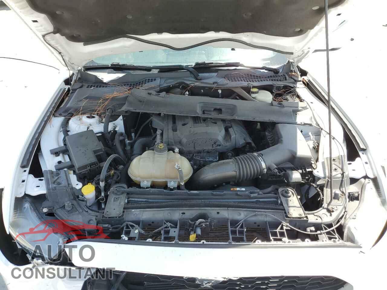 FORD MUSTANG 2017 - 1FATP8UH7H5205679