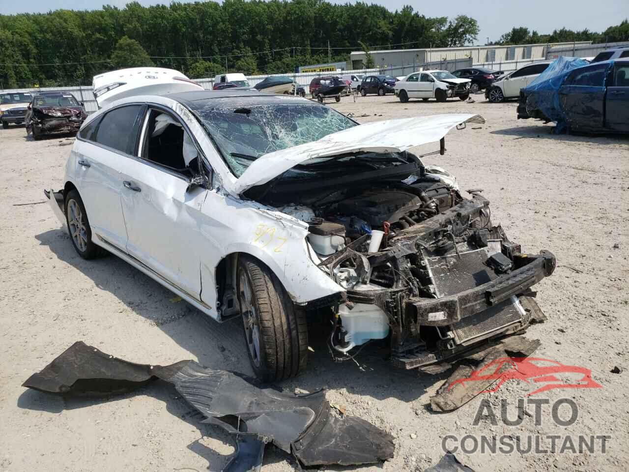 HYUNDAI SONATA 2019 - 5NPE34AB5KH795105