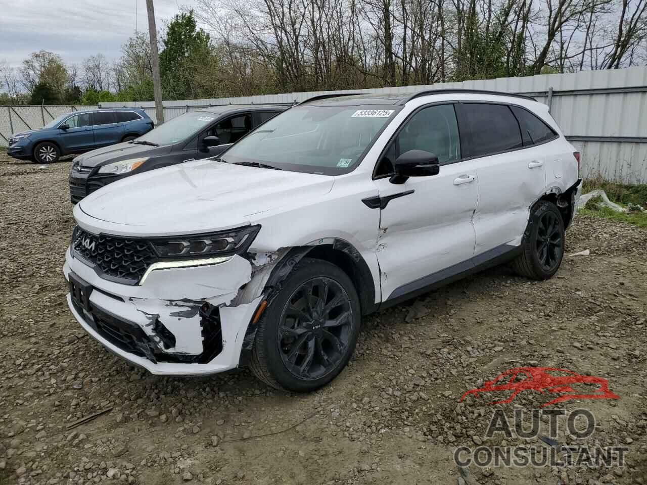 KIA SORENTO 2023 - 5XYRKDLF7PG250462