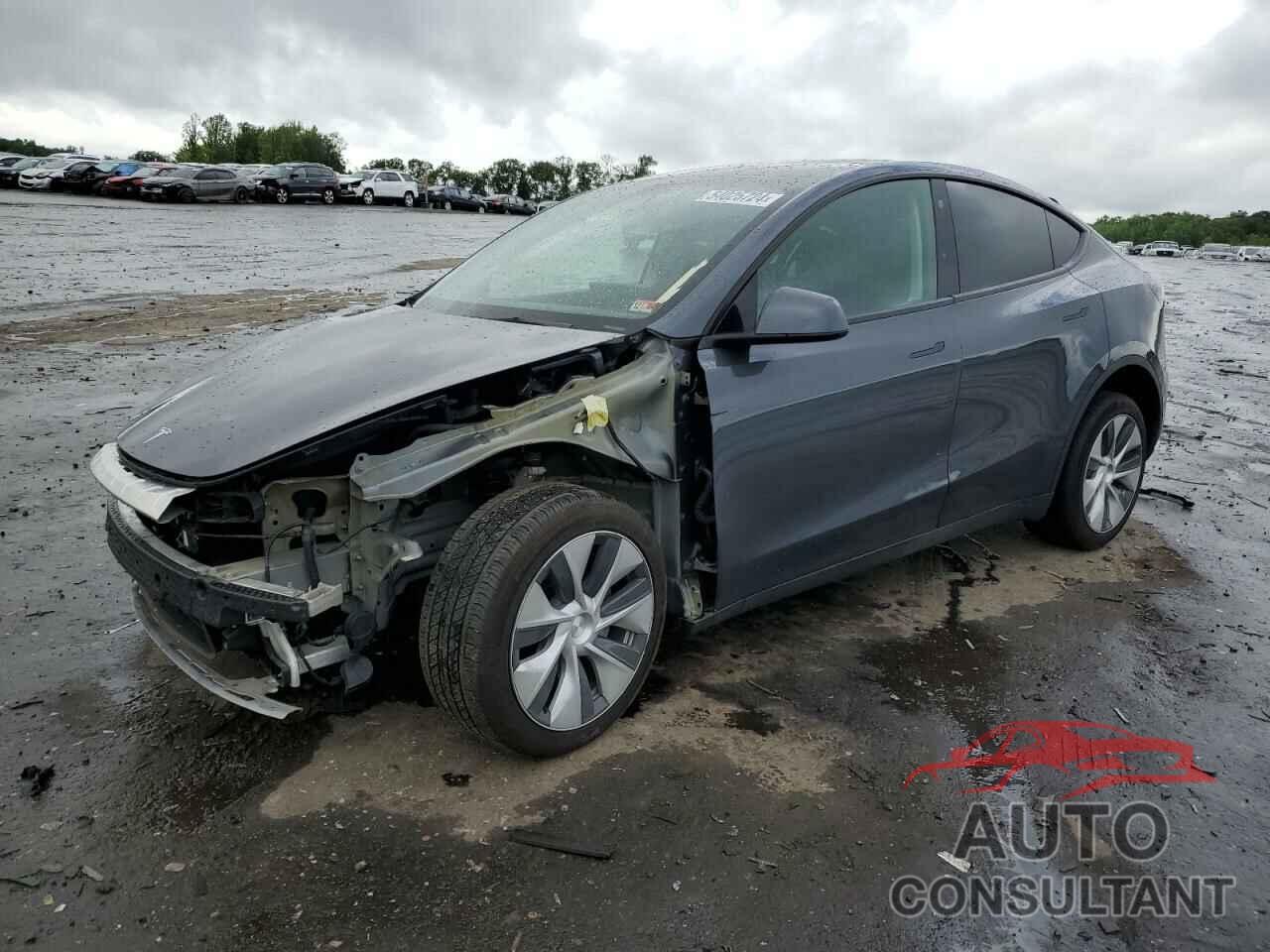 TESLA MODEL Y 2022 - 7SAYGDEE2NF420204