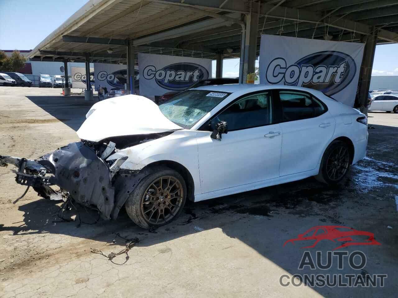 TOYOTA CAMRY 2024 - 4T1T11AK1RU195480
