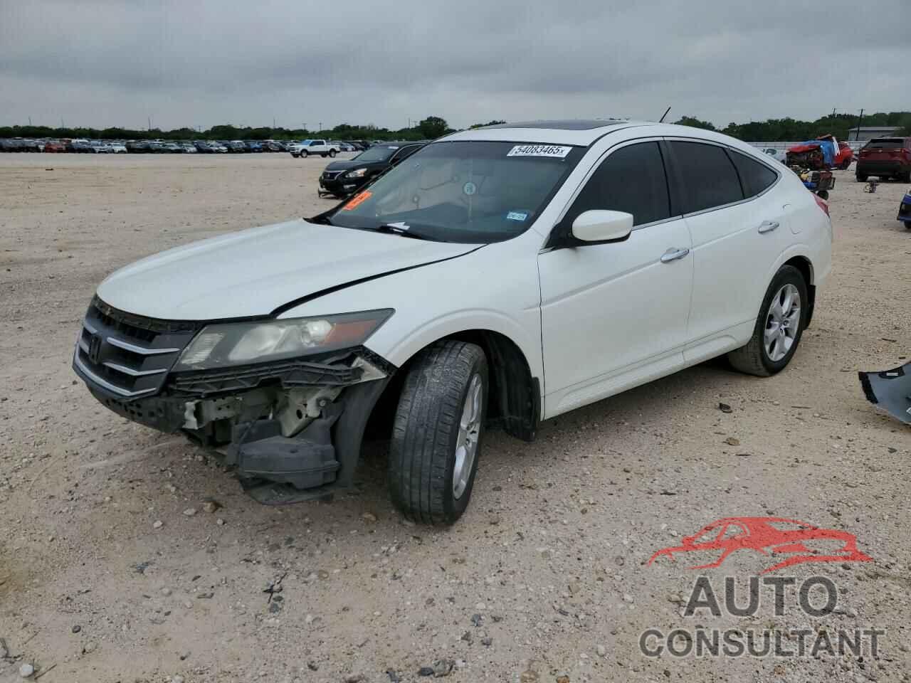 HONDA CROSSTOUR 2012 - 5J6TF1H52CL000841