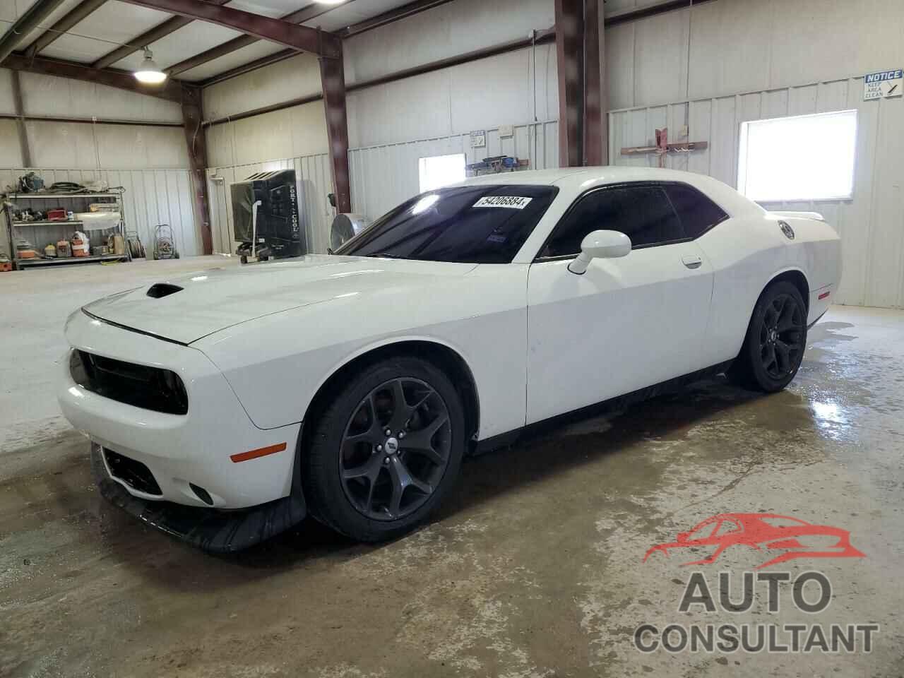 DODGE CHALLENGER 2019 - 2C3CDZBT3KH617098