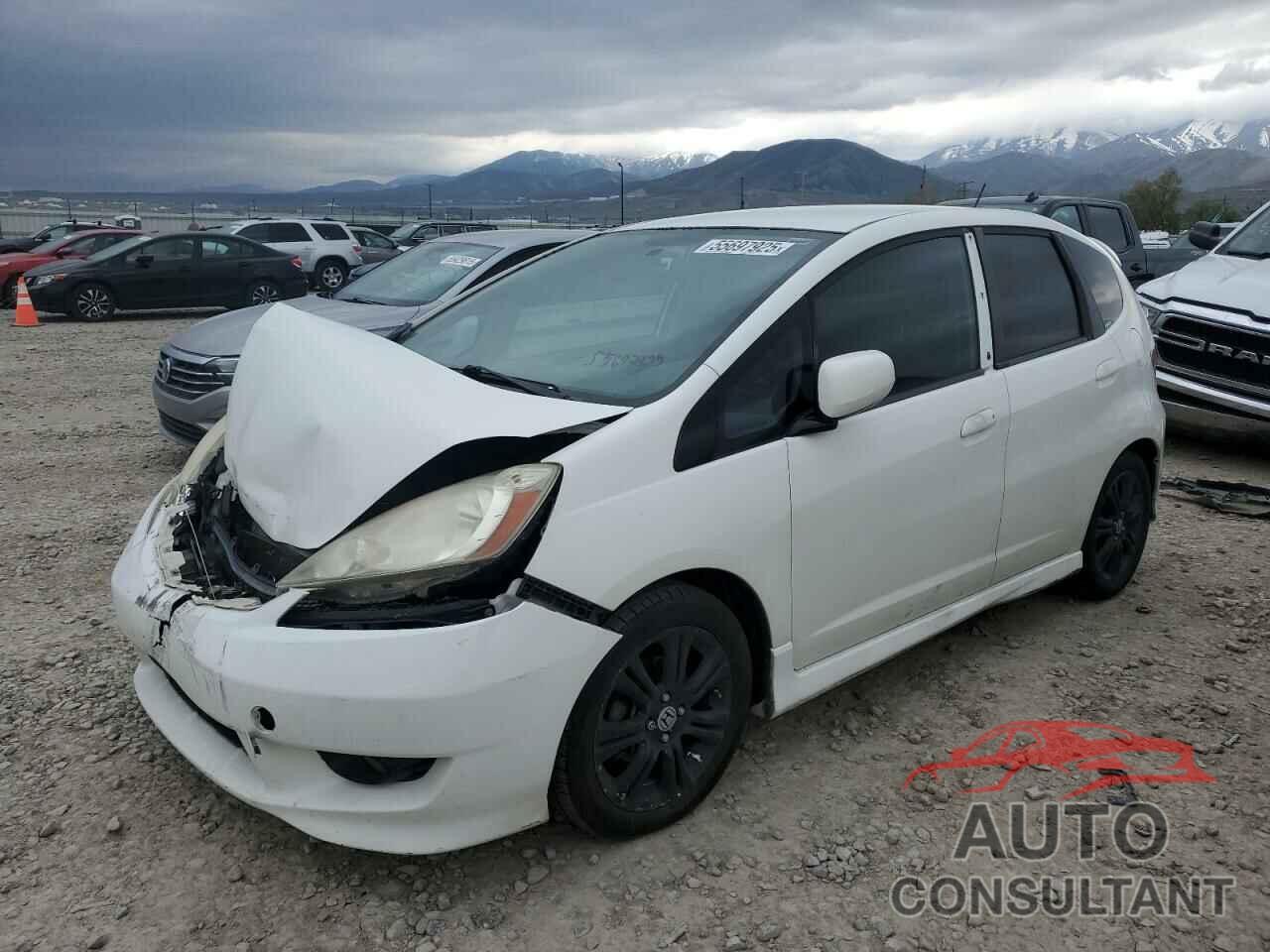 HONDA FIT 2009 - JHMGE88489S008594