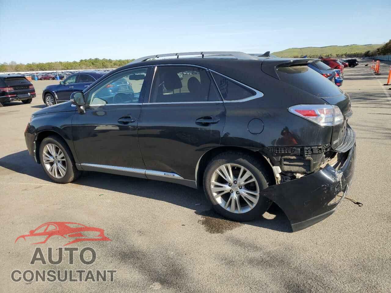 LEXUS RX450 2010 - JTJBC1BA3A2017471